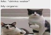 Me: "drinks water" My organs: