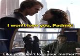 I won't lose you, Padmé! Like you didn't lose your mother?
