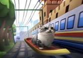 A subway surfer cat meme I found. Not mine, just reposting here to distribute the funny.