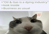 >"Oil & Gas is a dying industry" >look inside > Business as usual