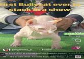 First Bullycat ever stack in a show #SMEAGOL 406 32 jungleboiz_p... ⚫ Follow The BULLYCAT is vibeing with the BULLY... more T VIBES ALL DE 2 Chainz TRAP YEAR NEXT SHOWIN III It's A Vibe (feat. Ty Dolla $ign, Trey Songz, WEEK TRAP