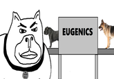 SNOW BALL EUGENICS