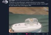 Chungus Life meme Le owl @ponzischeme9-17h Theres a sunflower seed stuck in my vape cause i have seeds in my pocket and i cant get it out f--- my chungus life GIF 12 t15 356 | 8.7K 1