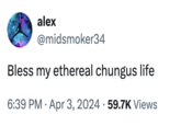Bless my ethereal chungus life alex @midsmoker34 Bless my ethereal chungus life • 6:39 PM Apr 3, 2024 59.7K Views