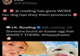 @th333aaa jk rowling has gone WOKE her dog has they them pronouns J.K. Rowling@jk_rowling.2d Someone found an Easter egg that WASN'T THEIRS. #HappyEaster