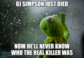 OJ SIMPSON JUST DIED NOW HE'LL NEVER KNOW IBIS IN WHO THE REAL KILLER WAS www.ibising.c-- imgflip.com