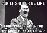 ADOLF SHITLER BE LIKE I ONLY POOPENFARTEN FOR THE GOOD OF THE A---- RACE