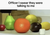 Officer I swear they were talking to me