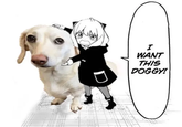 I want this doggy I WANT THIS DOGGY!