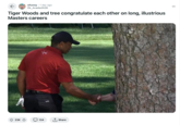 ← SONN r/funny 1 day ago Ok Acadia3526 Tiger Woods and tree congratulate each other on long, illustrious Masters careers 23K 134 ↑ Share
