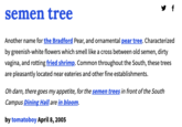 semen tree ▼ f Another name for the Bradford Pear, and ornamental pear tree. Characterized by greenish-white flowers which smell like a cross between old semen, dirty vagina, and rotting fried shrimp. Common throughout the South, these trees are pleasantly located near eateries and other fine establishments. Oh darn, there goes my appetite, for the semen trees in front of the South Campus Dining Hall are in bloom. by tomatoboy April 8, 2005