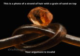 Sand This is a photo of a strand of hair with a grain of sand on top Oloflimages Your argument is invalid