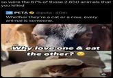 so were the 67% of those 2,650 animals that you killed PETA @peta. 40m Whether they're a cat or a cow, every animal is someone. Why love one & eat the other?