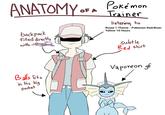 ANATOMY OF A Pokémon backpack filled directly with Trainer listening to Route 1 Theme - Pokemon Red/Blue/ Yellow 10 Hours subtle Red shirt Balls fits in his big pocket Vaporeon of