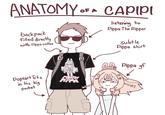 ANATOMY OF A CAPIPI backpack filled directly with Pippa coffee listening to Pippa The Ripper Poptart fits in his big pocket PPA விரி subtle Pippa shirt Go Pippa gf