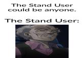 The Stand User could be anyone. The Stand User: