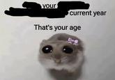 your current year That's your age