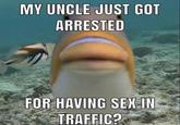 MY UNCLE JUST GOT ARRESTED FOR HAVING SEX IN TRAFFIC?
