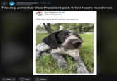 /r/WhitePeopleTwitter r/WhitePeopleTwitter 3 days ago human_suitcase The dog potential Vice President pick Kristi Noem murdered. Ron Filipkowski ❤ @RonFilipkowski The dog that Kristi Noem murdered. 28K 1.9K ↑ Share