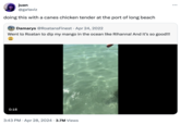 juan @ga1aviz doing this with a canes chicken tender at the port of long beach • Damarys @RoatansFinest Apr 24, 2022 Went to Roatan to dip my mango in the ocean like Rihanna! And it's so good!!! 0:16 • 3:43 PM Apr 28, 2024 3.7M Views ...