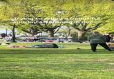 NYC Park Blanket Couple TikTok Video (Screenshot) trying to enjoy a beautiful Sunday afternoon in nyc