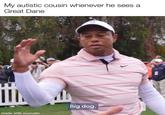 My autistic cousin whenever he sees a Great Dane made with mematic Big dog.