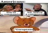 It always fun to see. | /r/dankmemes imgflip.com Americans: You're a communist No! You're a communist Py *Europeans