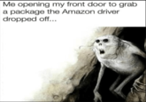 Me opening my front door to grab a package the Amazon driver dropped off...