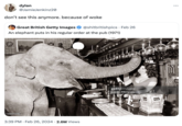 Because Of Woke dylan @JamieJenkinz20 don't see this anymore. because of woke Great British Getty Images @shitbritishpics • Feb 26 An elephant puts in his regular order at the pub (1971) 1502571535 3:39 PM • Feb 26, 2024 2.6M Views • gettyimages Credit: Mirrorpix tapens with Seething Oother Canada Dr ...