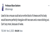 Because Of Woke Professor Bison Sexhorn @Brainmage Used to be a mouse could eat an entire block of cheese and his body would become perfectly triangular with two ears and a nose sticking out. Can't any more, because of woke. 7:52 AM • Nov 2, 2023 814.9K Views