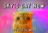 SKY'S GAY NOW BECAUSE OF WOKE Catmin