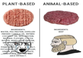 PLANT-BASED ANIMAL-BASED INGREDIENTS: WATER, PEA PROTEIN, EXPELLER- PRESSED CANOLA OIL, REFINED COCONUT OIL, RICE PROTEIN, NATURAL FLAVORS, COCOA INGREDIENTS: BEEF BUTTER, MUNG BEAN PROTEIN, METHYLCE TO STARCHA POMEGRANAT C. ALT. POTASSIUM C EGAR, LEMON JUIC TRATE, SUNFLOWER LECHAIN, BEET JUICE EXTRACT.