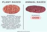 PLANT-BASED ANIMAL-BASED INGREDIENTS: WATER, PEA PROTEIN, EXPELLER- PRESSED CANOLA OIL, REFINED COCONUT OIL, RICE PROTEIN, NATURAL FLAVORS, COCOA BUTTER, MUNG BEAN PROTEIN, METHYLCELLULOSE, POTATO STARCH, APPLE EXTRACT, POMEGRANATE EXTRACT, SALT, POTASSIUM CHLORIDE, VINEGAR, LEMON JUICE CONCENTRATE, SUNFLOWER LECITHIN, BEET JUICE EXTRACT. INGREDIENTS: DOG @EatNoseToTail