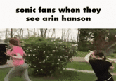 sonic fans when they see arin hanson
