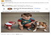 чр Alphons6 @Alphons63 You're all laughing until you see the homunculus breaking ankles on the court Yoro/Jovi @yorokobitattoos May 10 I keep almost deleting fb- this keeps me comin back Weird Al Generations Follow 3d • Brothers playing basketball with their dog. 3:28 AM May 12, 2024 26.1K Views ...