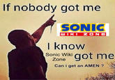 If nobody got me SONIC WIKI ZONE I know Sonic Wiki got me Zone Can i get an AMEN ?