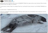 Pastor Alex @PastorAlexLove Atheists on TikTok are now COMPETING to see who can draw the most offensive things on seals This poor otter has no idea that an atheist has drawn a HUGE PENIS on it. Look how frightened it is. The so called "animal lover" Ricky Gervais is probably the mastermind behind this!