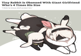 Tiny Rabbit Is Obsessed With Giant Girlfriend Who's 4 Times His Size "I think he knows she'll protect him." Afe