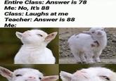 Entire Class: Answer is 78 Me: No, It's 88 Class: Laughs at me Teacher: Answer is 88 Me: