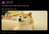 Dexerto @Dexerto The Doge Meme dog, Kabosu has died. She was 18 years old. 3:00 AM May 24, 2024 99