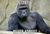 5/28/16 NEVER FORGET