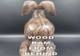 WOOD RAM FROM BEHIND