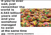 If you're ever sad, just remember the world is 4.543 billion years old and you somehow managed to exist at the same time as nerds gummy clusters