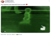 coolgirlonline @coolgirlOnline my nephew just learned how to walk II GIF • 8:04 PM Oct 24, 2023 1.6M Views ...
