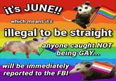 it's JUNE!! which means it's illegal to be straight anyone caught NOT being GAY... will be immediately reported to the FBI