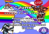 It's "June" which means it's STOP ILLEGAL TO BE STRAIGHT Anyone caught not being GAY will be immediately reported to ONI ALO PLASMAROSTING