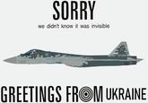 SORRY we didn't know it was invisible GREETINGS FROM UKRAINE