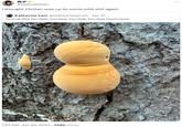 真子米 @MakoMattari I thought Chiitan was up to some wild s--- again Katherine Lam @katherinelamart - Apr 21 look at this horrible, horrible, horrible, horrible mushroom 1:27 AM Apr 22, 2024 268K Views