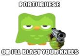 PORTUGUESE OR I'LL BLAST YOUR KNEES imgflip.com