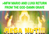 >MFW MARIO AND LUIGI RETURN FROM THE GOD-DAMN GRAVE MEGA NUT